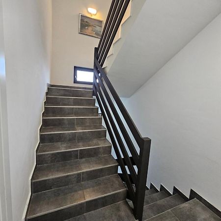 Filipovic Rent A Car & Apartments Selnica Scitarjevska Exteriér fotografie