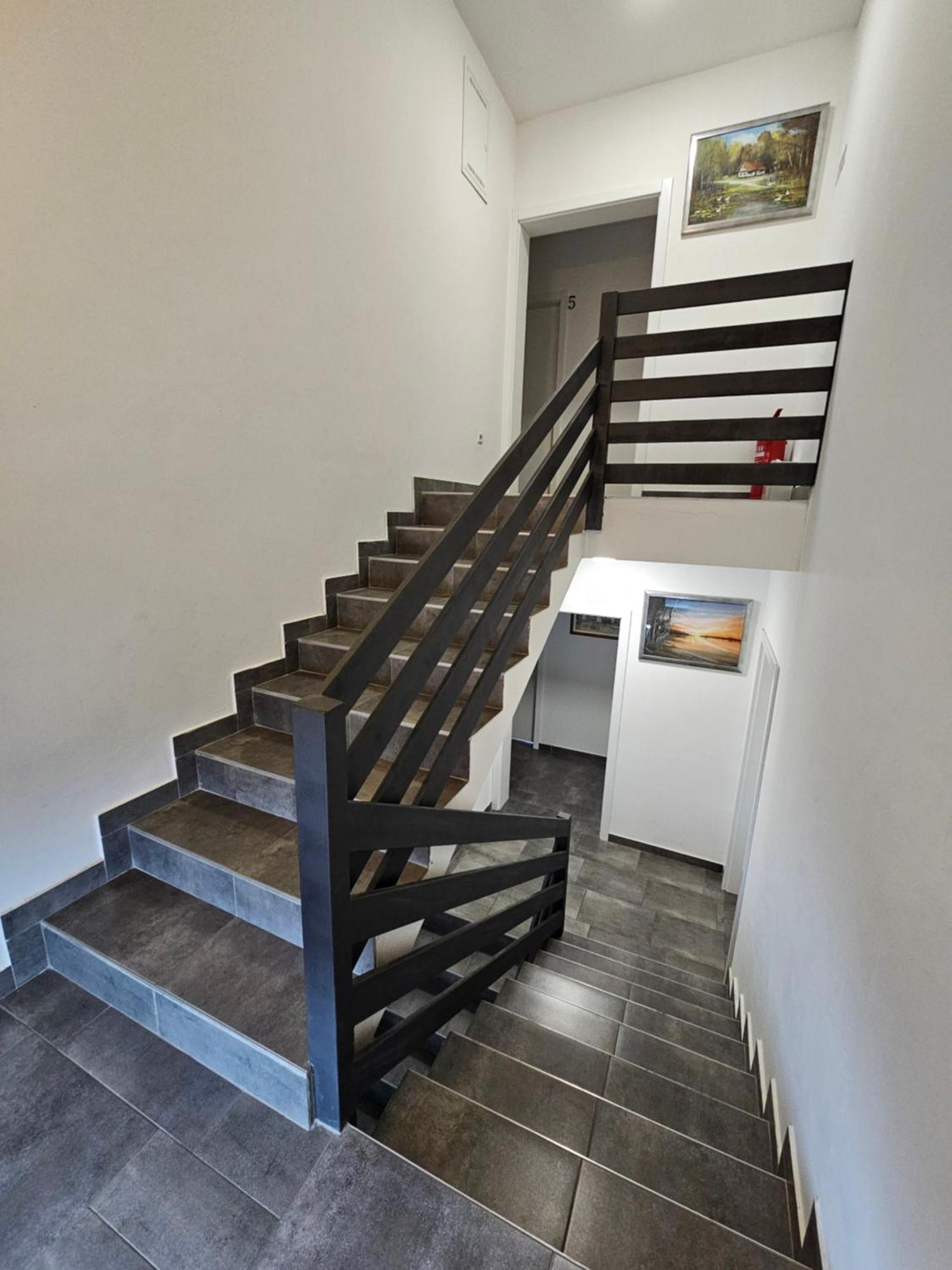 Filipovic Rent A Car & Apartments Selnica Scitarjevska Exteriér fotografie
