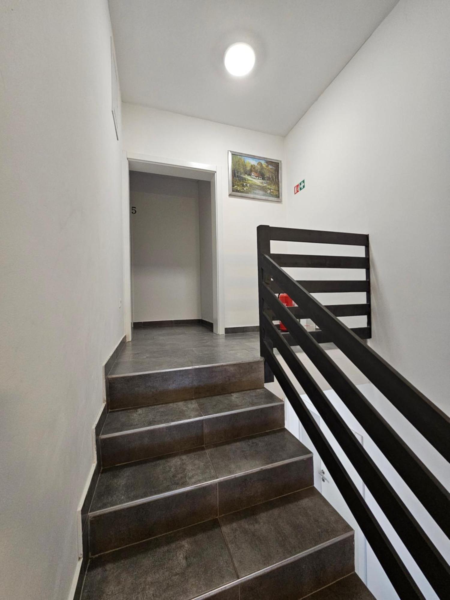 Filipovic Rent A Car & Apartments Selnica Scitarjevska Exteriér fotografie