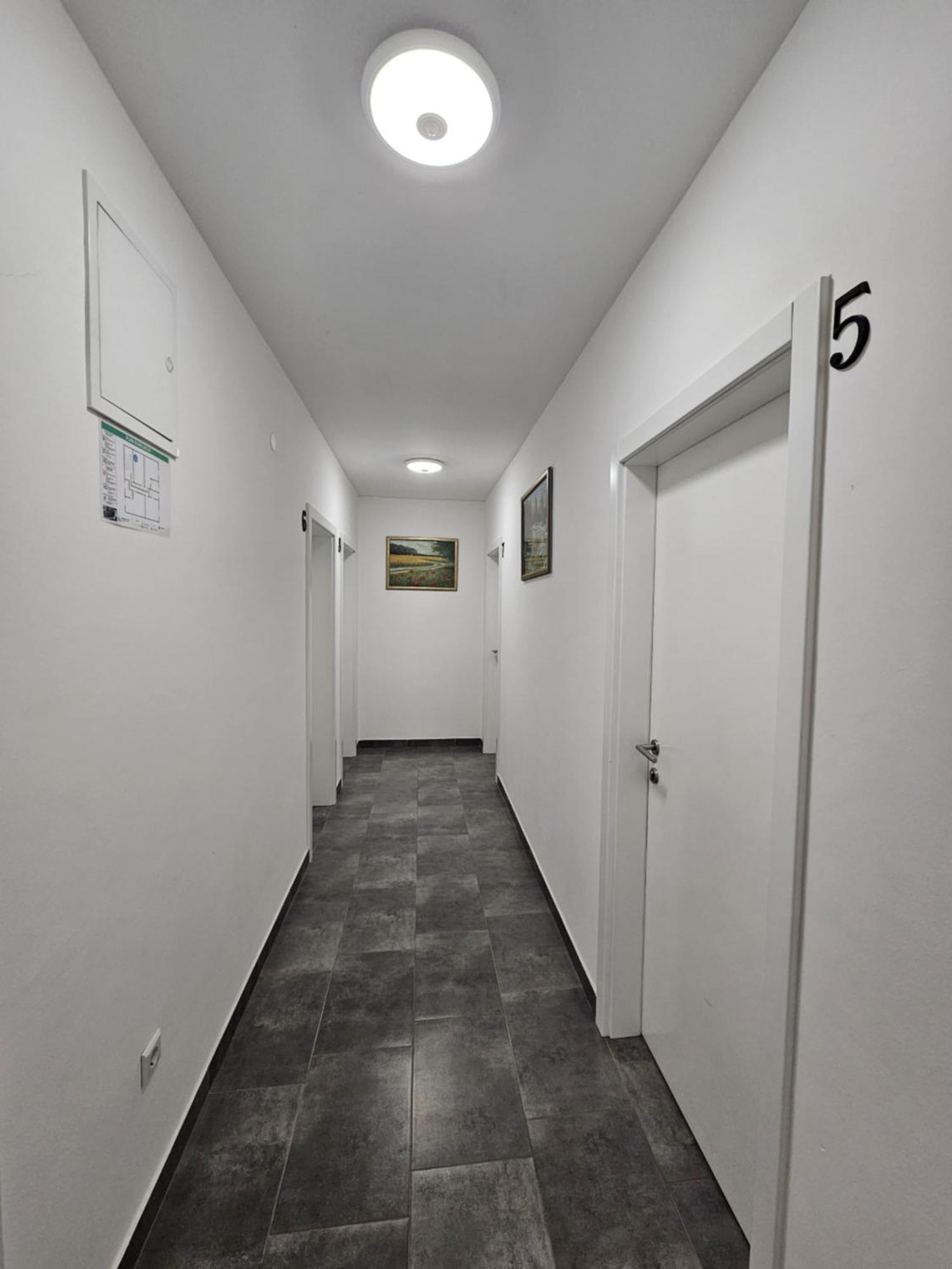Filipovic Rent A Car & Apartments Selnica Scitarjevska Exteriér fotografie