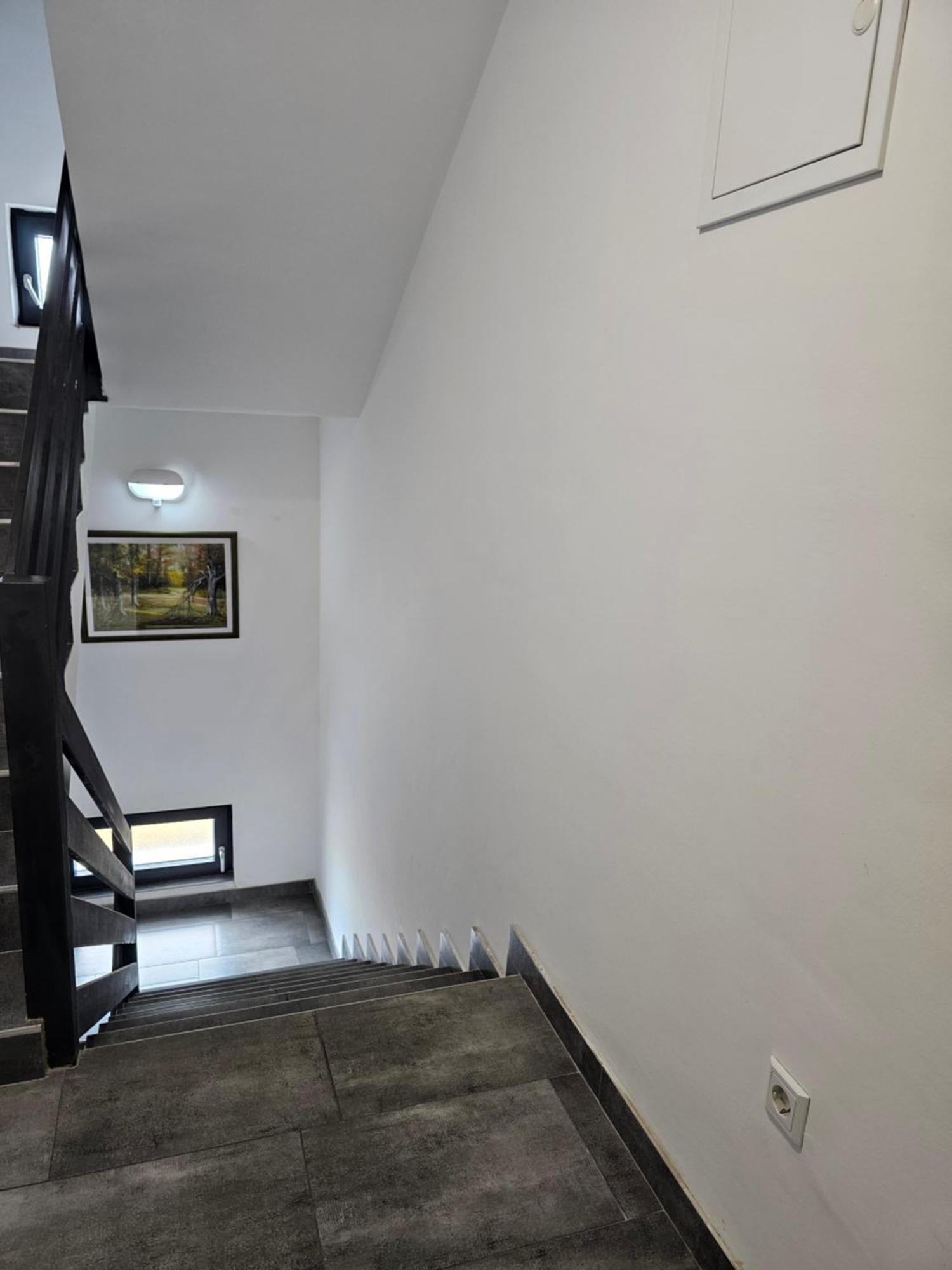 Filipovic Rent A Car & Apartments Selnica Scitarjevska Exteriér fotografie